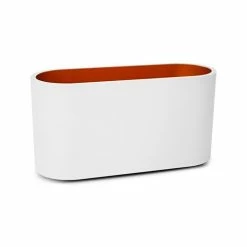 MIIDEX Applique Intérieur Ovale HOYA 230V G9 Blanc Et Doré - 70040